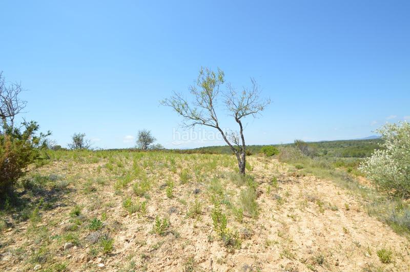 Foto 36093254-d1ce-4ce7-9c19-053815066c2a. Finca rústica en venta, finca rústica en alcalá de xivert (castellón) en Alcossebre