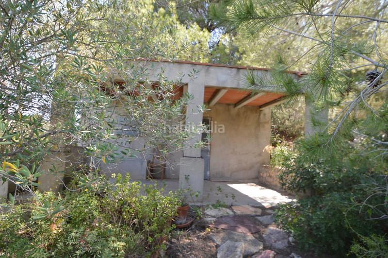 Foto 50a3d651-4a35-45f9-a0a1-25f596aa240e. Finca rústica en venta, finca rústica en alcalá de xivert (castellón) en Alcossebre