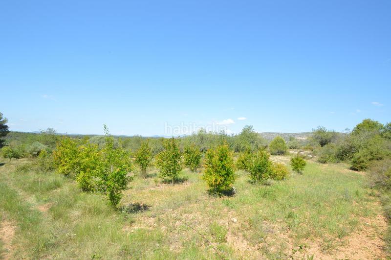 Foto 54ef997a-ea1c-4e17-bb03-2718f9eaeccd. Finca rústica en venta, finca rústica en alcalá de xivert (castellón) en Alcossebre