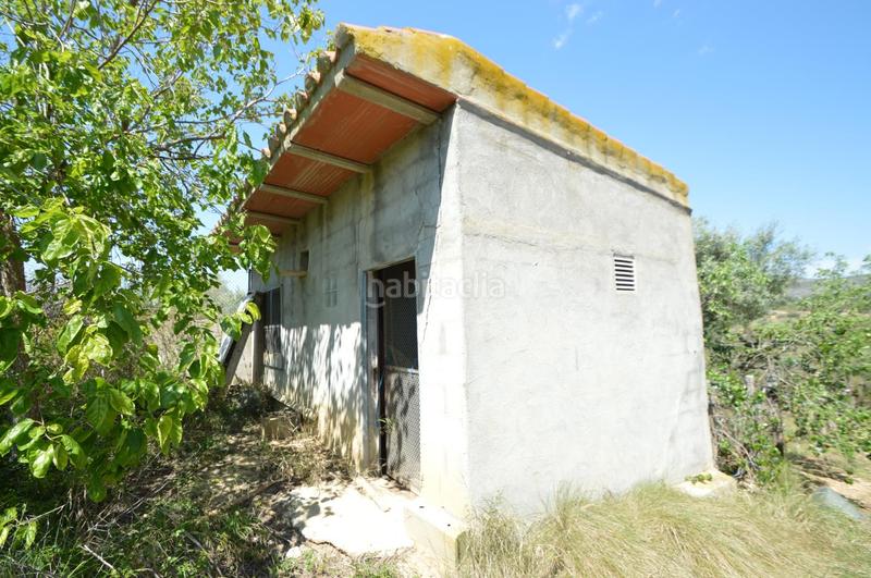 Foto 5e5e6f68-413c-4968-a63f-1f81fb66880f. Finca rústica en venta, finca rústica en alcalá de xivert (castellón) en Alcossebre