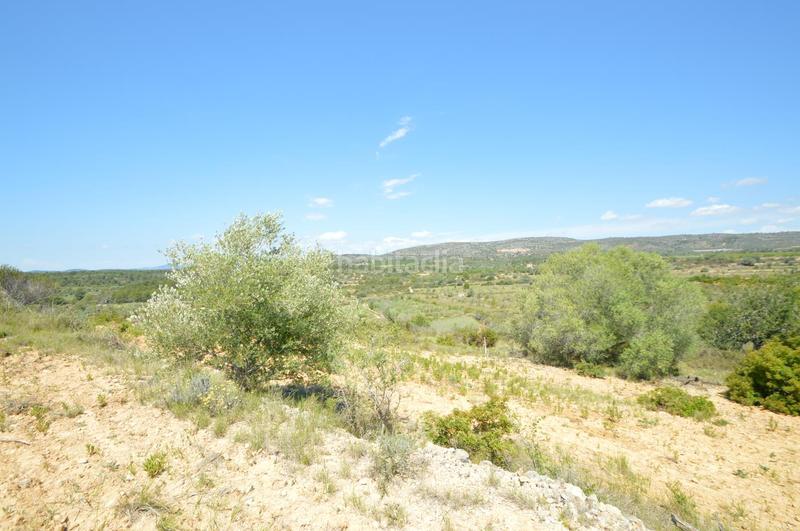 Foto 688ffeb9-8599-4adc-90d4-2536f05333c8. Finca rústica en venta, finca rústica en alcalá de xivert (castellón) en Alcossebre