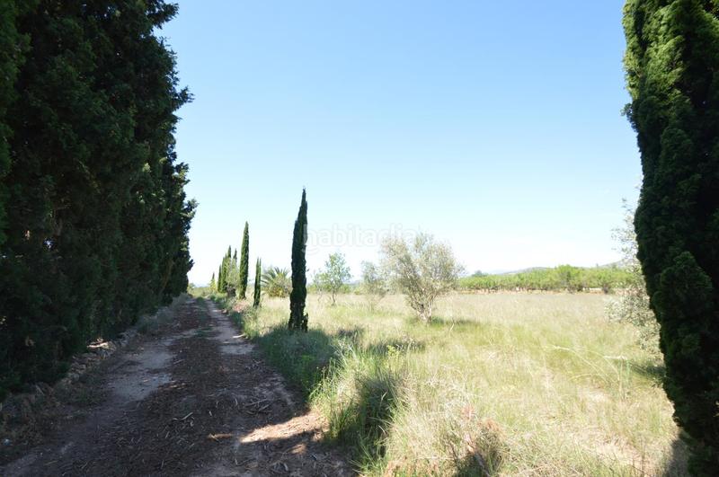Foto 7867ed51-b361-4c3d-8017-9e8eef58c438. Finca rústica en venta, finca rústica en alcalá de xivert (castellón) en Alcossebre