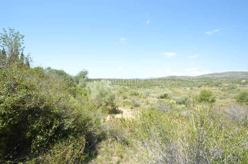 Foto 7ee4ee01-05d6-4ff3-bf4f-fe2c09f7ddc9. Finca rústica en venta, finca rústica en alcalá de xivert (castellón) en Alcossebre