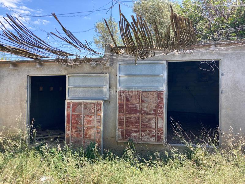 Foto 812293c5-049d-452c-a849-d3abd4447405. Finca rústica en venta, finca rústica en alcalá de xivert (castellón) en Alcossebre