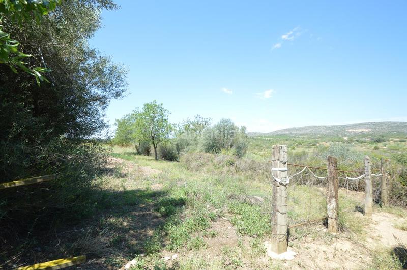 Foto 8441bb39-b3d4-47a3-9def-032638010121. Finca rústica en venta, finca rústica en alcalá de xivert (castellón) en Alcossebre