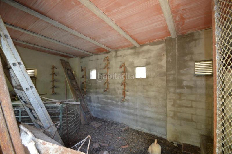 Foto 8848ea3e-9c1f-4a7b-82c2-ea96e4b86775. Finca rústica en venta, finca rústica en alcalá de xivert (castellón) en Alcossebre