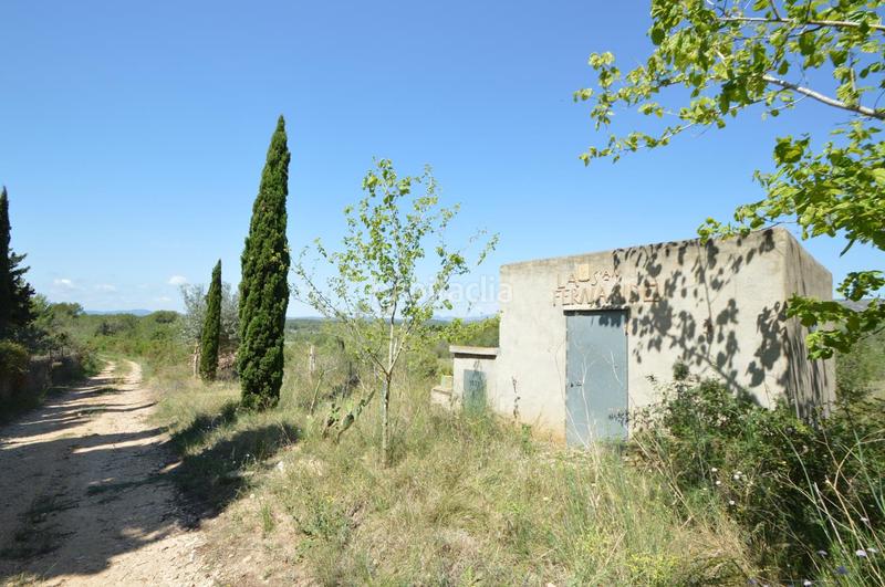 Foto 96ad89fe-ebd6-4b12-aa74-5cfed4e9d537. Finca rústica en venta, finca rústica en alcalá de xivert (castellón) en Alcossebre