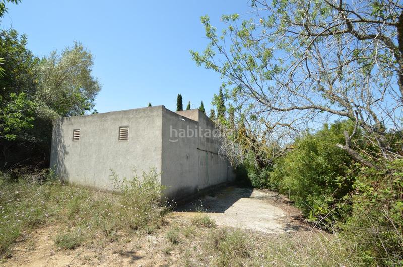 Foto acfbab15-790f-4b42-9f5e-bebc67e1b8ce. Finca rústica en venta, finca rústica en alcalá de xivert (castellón) en Alcossebre