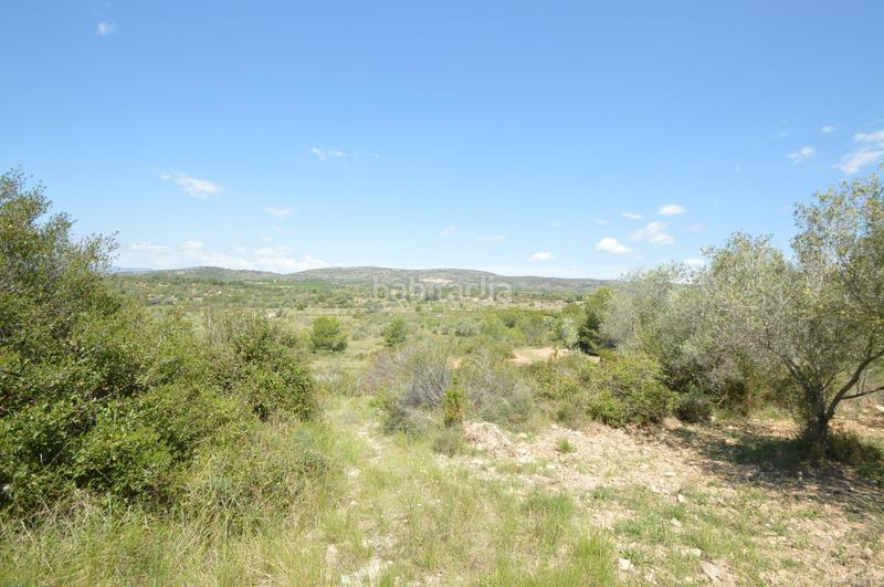 Foto c07fc295-6a55-4546-b37f-9c0dac0dbf1e. Finca rústica en venta, finca rústica en alcalá de xivert (castellón) en Alcossebre
