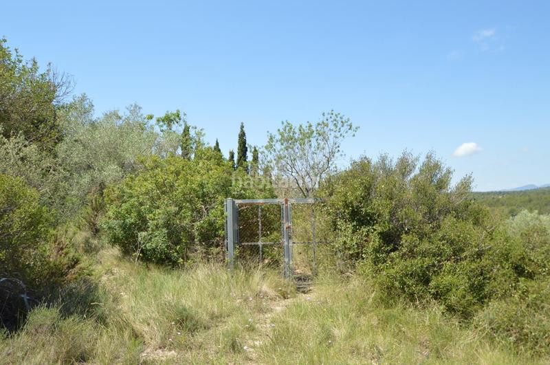 Foto c8a33aa3-381c-4525-b3a2-9aa8296fa126. Finca rústica en venta, finca rústica en alcalá de xivert (castellón) en Alcossebre