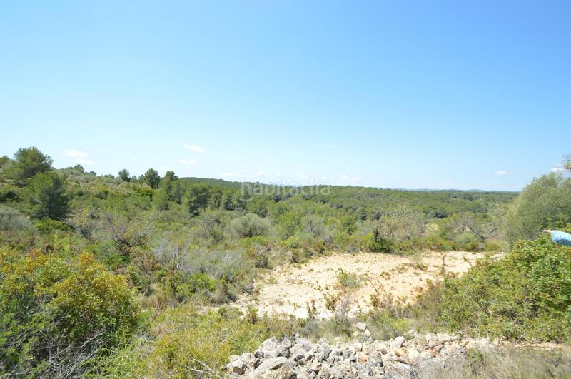 Foto d803ba64-c423-40bc-b75b-1db88a63b53d. Finca rústica en venta, finca rústica en alcalá de xivert (castellón) en Alcossebre