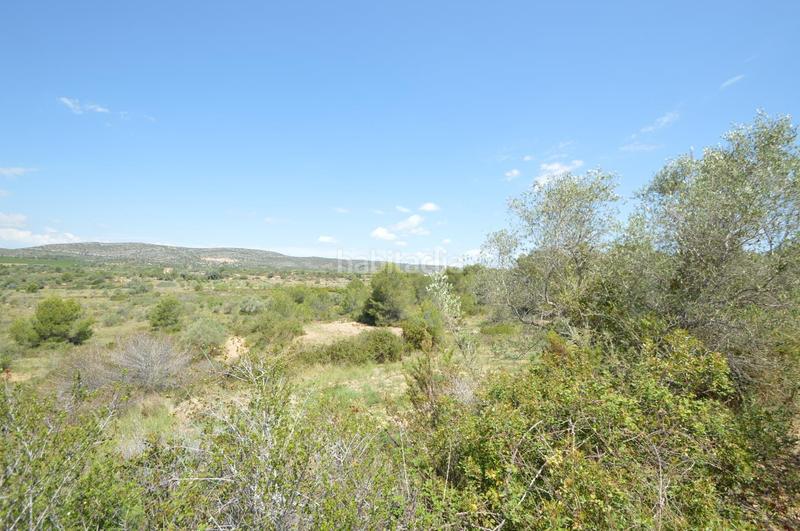 Foto e325e7a4-7b99-4684-8b2d-9a06cf645ae3. Finca rústica en venta, finca rústica en alcalá de xivert (castellón) en Alcossebre