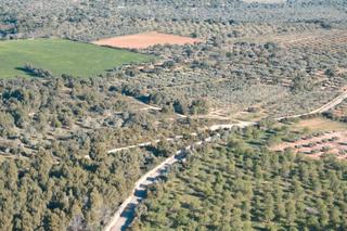Finca rústica a San Jorge. En venta finca rústica en sant jordi