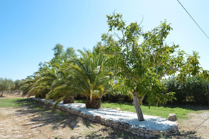 Foto 26c5f3c3-5c05-403a-bac6-b9879ea18ef4. Chalet finca en venta en valentins - en Ulldecona