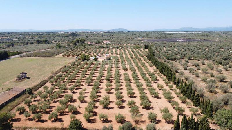 Foto 2dfd7316-5a6d-4a80-a39c-0f557277b5f7. Chalet finca en venta en valentins - en Ulldecona