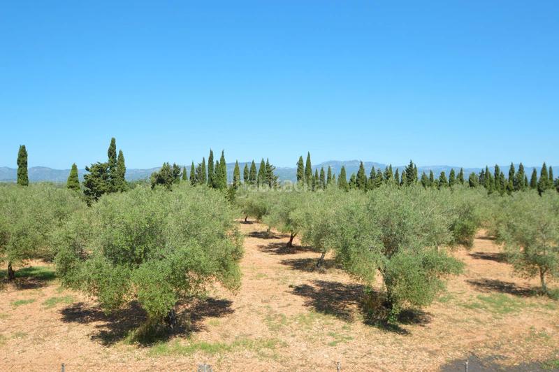 Foto 383a1f24-8220-493e-a431-feabda86588a. Chalet finca en venta en valentins - en Ulldecona
