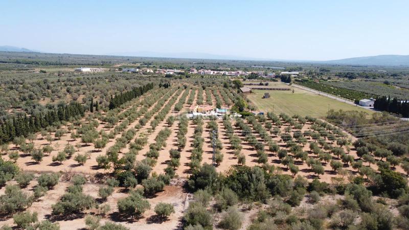 Foto 5c9f7242-6eb8-4636-9e30-5911536577d3. Chalet finca en venta en valentins - en Ulldecona
