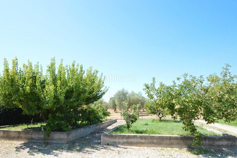 Foto 6bc0815b-b1f3-483e-a157-1a925016f008. Chalet finca en venta en valentins - en Ulldecona