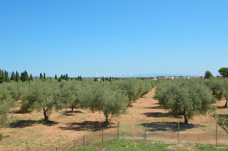 Foto 77f7df6d-ead3-420c-a1d0-ceee687ea02b. Chalet finca en venta en valentins - en Ulldecona