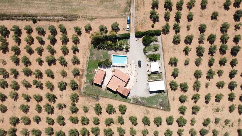 Foto 7c014f38-f115-4291-9cce-94053312b931. Chalet finca en venta en valentins - en Ulldecona
