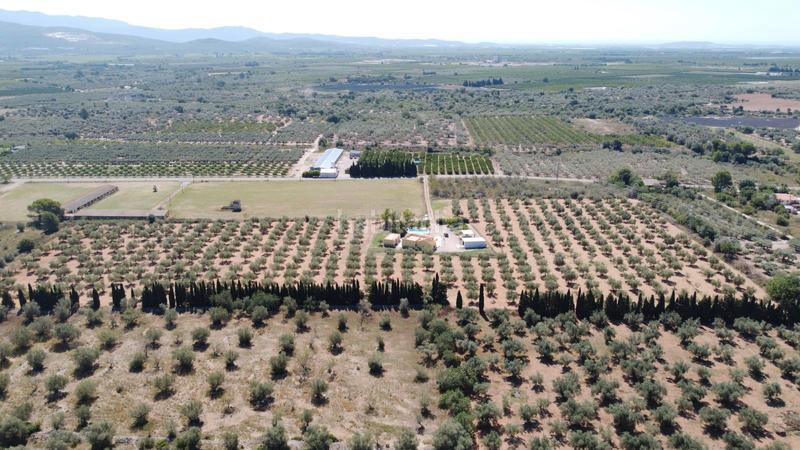 Foto 89f708fc-109d-462a-8e2a-70a954f2b6f0. Chalet finca en venta en valentins - en Ulldecona