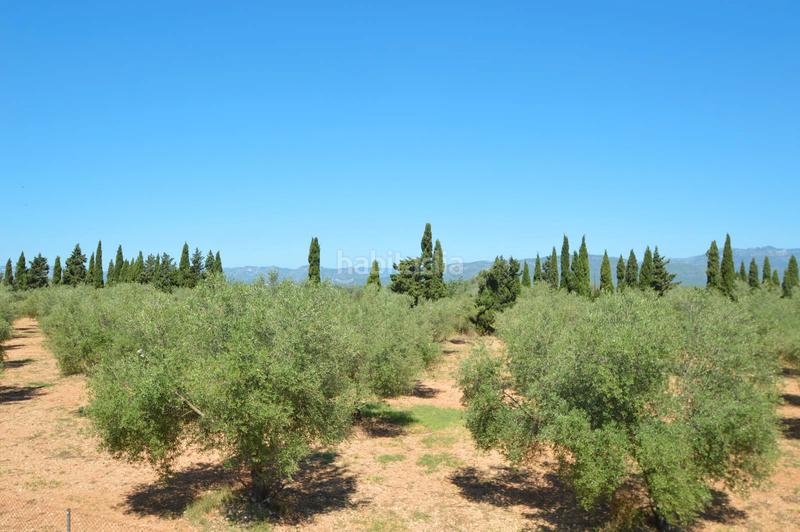 Foto 948ba11d-a962-48c6-adff-68ced42118d7. Chalet finca en venta en valentins - en Ulldecona