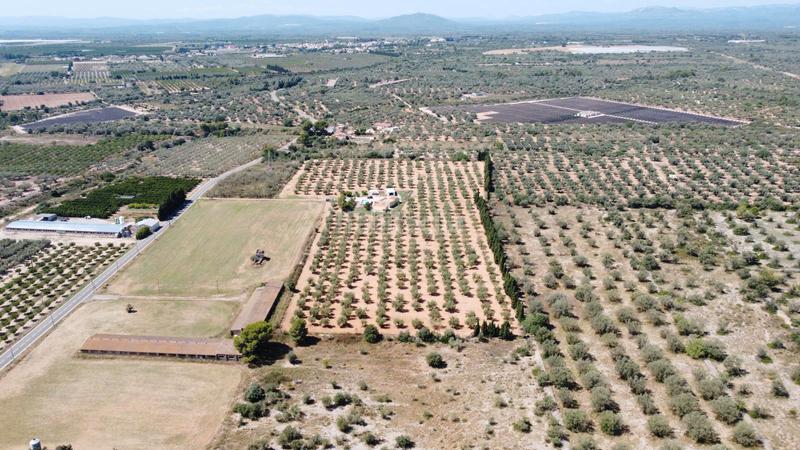 Foto e9fc1144-5e03-43a6-91dc-4dc5072125d5. Chalet finca en venta en valentins - en Ulldecona