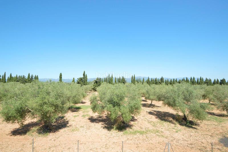 Foto f38da886-52c1-4752-a2d3-1d4b4158ffdc. Chalet finca en venta en valentins - en Ulldecona