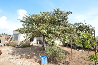 Mas à Pueblo. Finca en venta en benicarló