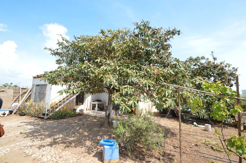 Foto 3236e065-e3c0-4430-8e01-0c053052e1c9. Masía finca en venta en Pueblo Benicarló