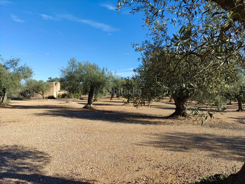 Foto 31e97415-787c-4c64-a490-2fdedb5eff45. Finca rústica a Traiguera