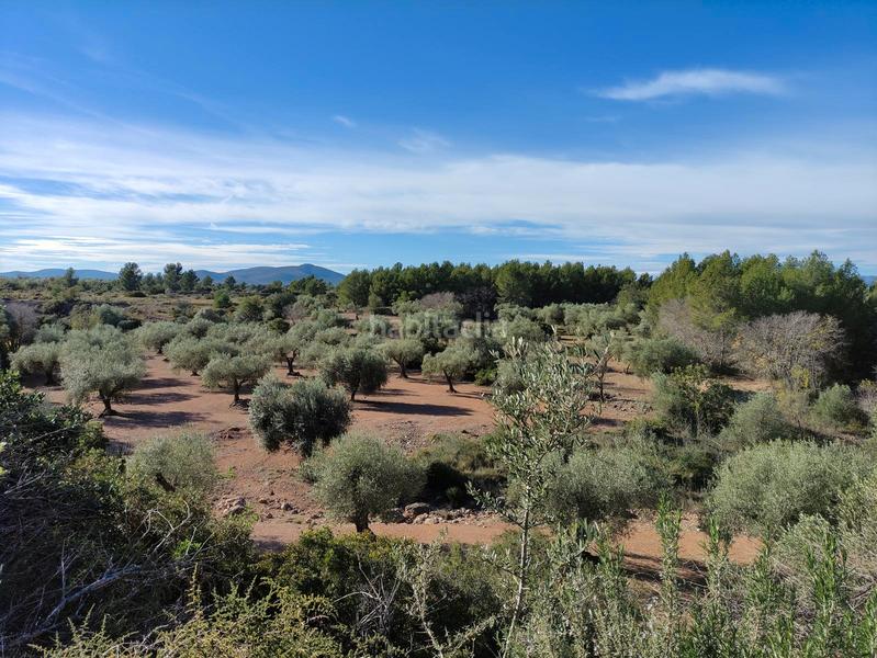 Foto b546308b-3a0c-4a94-8180-ecf0d783d420. Finca rústica a Traiguera