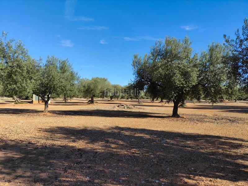 Foto d8fefa2d-319e-4fc3-9dcd-2aed463d1eb2. Finca rústica a Traiguera