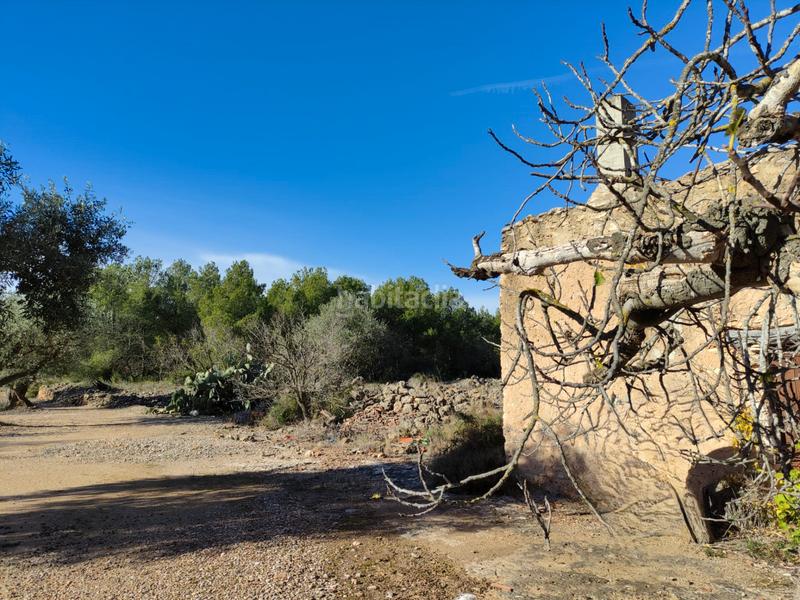 Foto e00c69ef-7066-444e-901a-130559ba1b44. Finca rústica a Traiguera