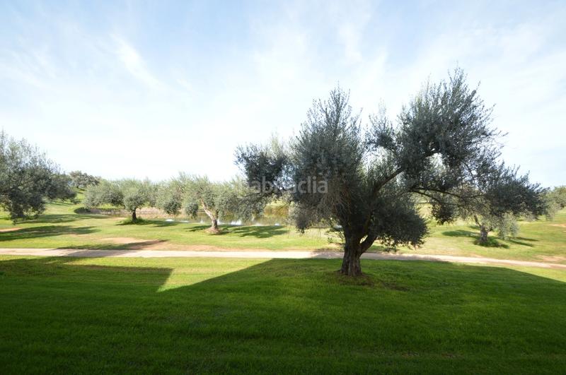 Foto b32fcac3-da3b-494b-a88c-b2b3a5fe2f6d. Appartement avec chauffage parking piscine dans San Jorge