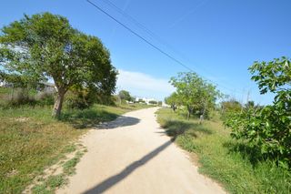 Landgut  N/a. Granja escuela en venta en vinaròs