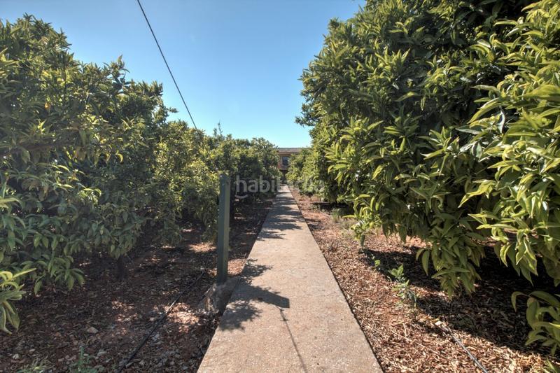 Foto 5af591e9-0267-437e-a15a-b69a5047b03d. Bauernhof in partida marrada 189 in Ciutat del Transport - La Salera Castellón de la Plana