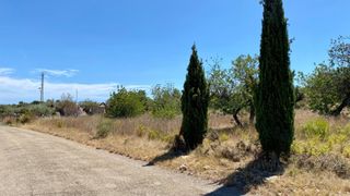 Terreno residencial en Camino barranc de moles 61. Parcela de terreno urbano con una superficie de 2.404 m2 en peñí