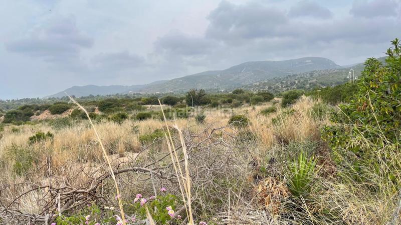 Foto bc6181b8-802f-43c8-b383-6505aca0e29c. Wohngrundstück in polígono poligono 9d 49 in Costa Sur Peñíscola