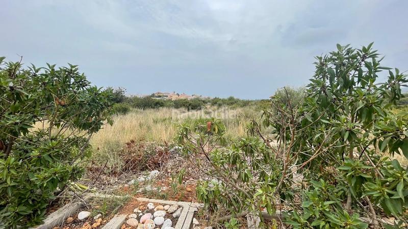 Foto a0fcd4a7-9894-4e85-ac18-62b9ee9df880. Wohngrundstück in polígono poligono 9d 53 in Costa Sur Peñíscola