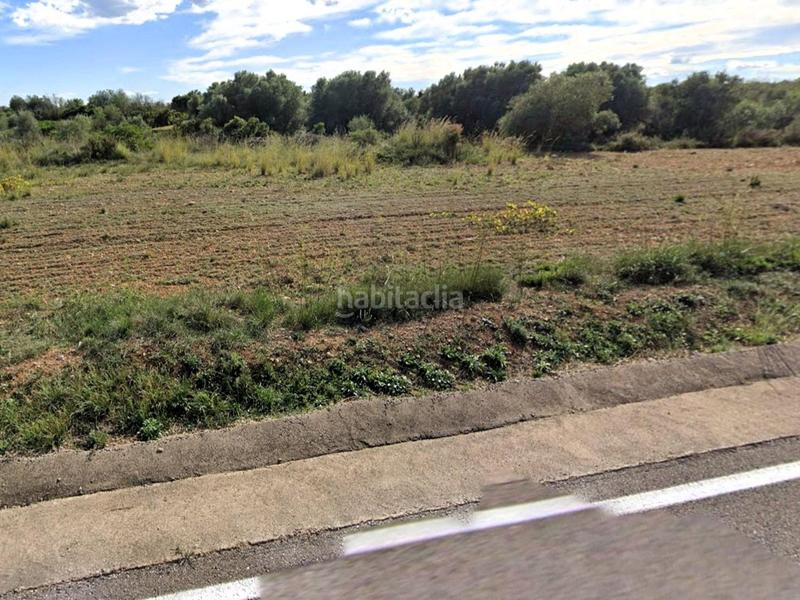 Foto 1751a1de-bf73-4231-ae10-f3dec730071e. Finca rústica a polígono polígono 25 parcela 210 210 a Alcalà de Xivert