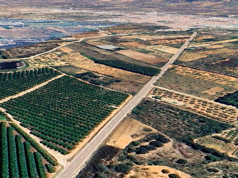 Foto 1b3f50df-9d5c-4f37-848d-759cb0abb1f5. Finca rústica a polígono polígono 25 parcela 210 210 a Alcalà de Xivert