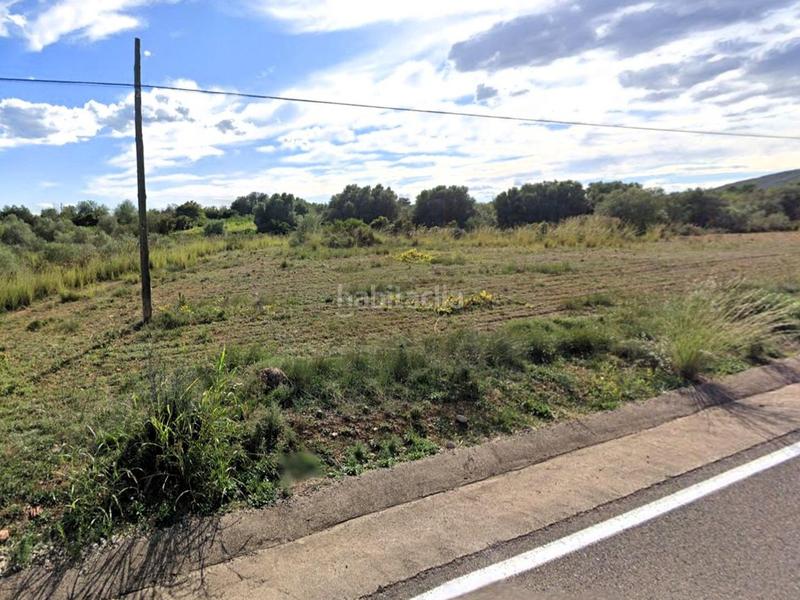 Foto 4ad44b12-8343-4f42-9e5d-a5fdefc824e0. Finca rústica a polígono polígono 25 parcela 210 210 a Alcalà de Xivert