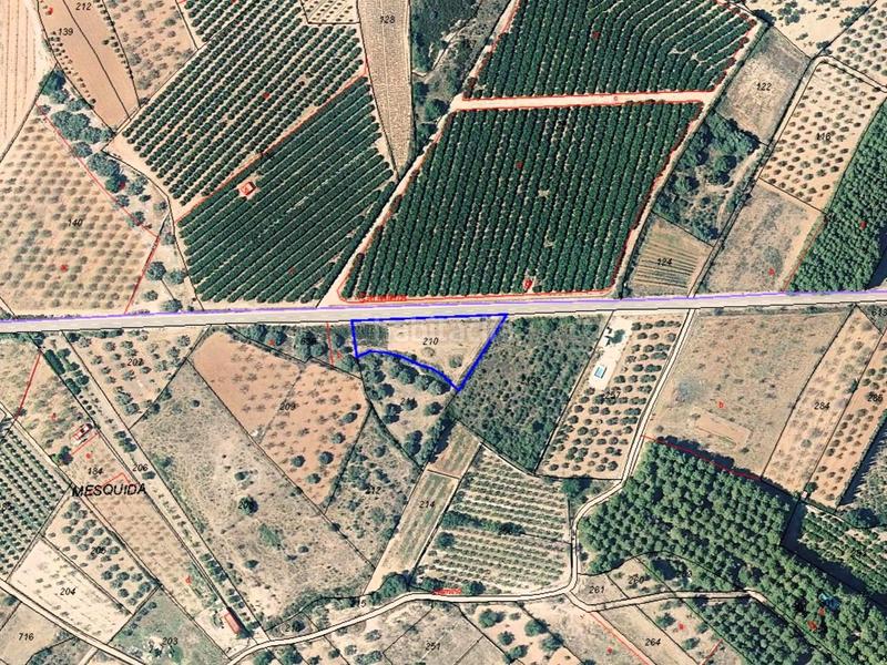 Foto 8e1a78b4-a52a-4087-a4f2-d8200c0413df. Finca rústica a polígono polígono 25 parcela 210 210 a Alcalà de Xivert