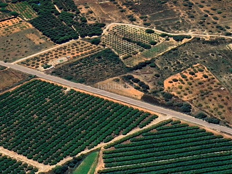 Foto ca1b0837-a6ec-49b3-bf13-cb742ef874d1. Finca rústica a polígono polígono 25 parcela 210 210 a Alcalà de Xivert