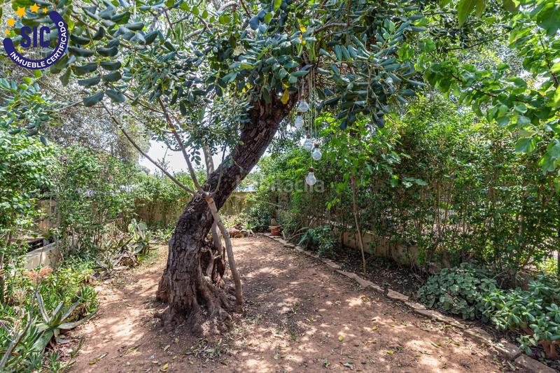 Foto c01cb286-9dfb-4b4e-a67c-f9f250e3f4d3. Maison jumelée dans del barranc de moles 23 dans Las Atalayas-Urmi-Cerro Mar Peñíscola