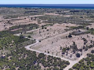 Rural plot in Polígono polígono 12 parcela 205. Finca rústica de 423 m en zona sant gregori burriana
