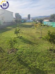 Finca rústica a Camino carrerassa del senillar 164. Terreno rústico con dos caravanas en la marjalería de castellón