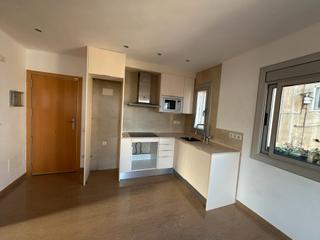 Appartement  Carrer de sants. Piso acogedor