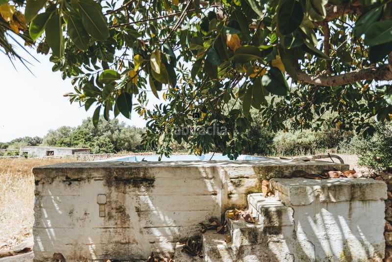 Foto f1eb8da7-fff0-41b3-ad9f-be08ba291bdc. Masia amb aparcament piscina a Cala d´En Bosch-Serpentona Ciutadella de Menorca